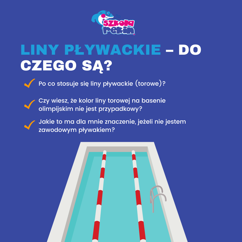 Liny / tory pływackie – do czego są i dlaczego widzimy je na basenie?