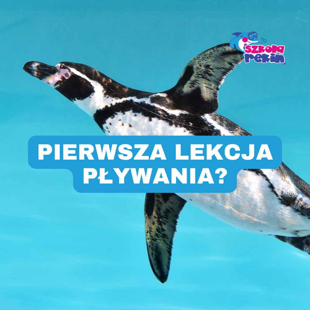 Pierwsza lekcja pływania – jak się przygotować i czego się spodziewać? 🏊‍♀️✨